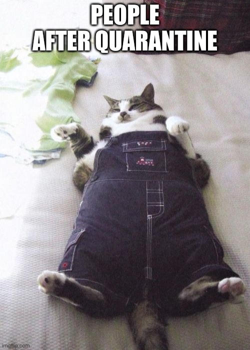 Fat Cat Meme | PEOPLE AFTER QUARANTINE | image tagged in memes,fat cat | made w/ Imgflip meme maker