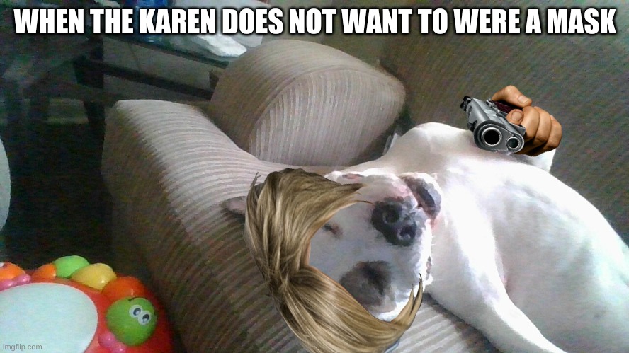 WHEN THE KAREN DOES NOT WANT TO WERE A MASK | image tagged in that would be great | made w/ Imgflip meme maker