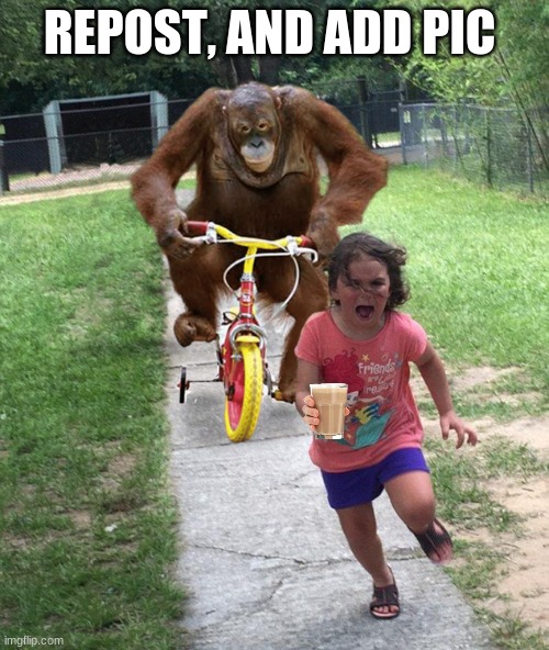 Repost and add a pic of anything you like but no private parts obvi | REPOST, AND ADD PIC | image tagged in orangutan chasing girl on a tricycle | made w/ Imgflip meme maker
