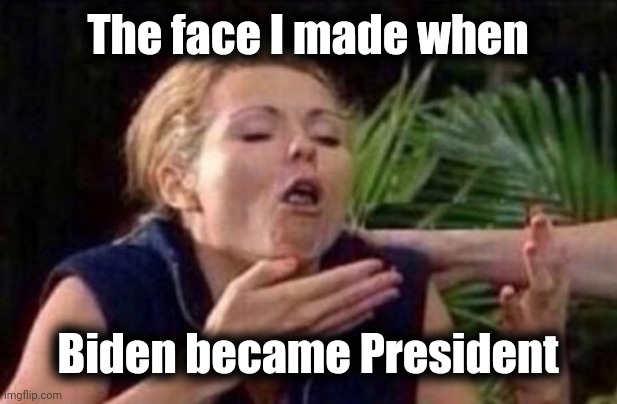 About to Puke | The face I made when Biden became President | image tagged in about to puke | made w/ Imgflip meme maker