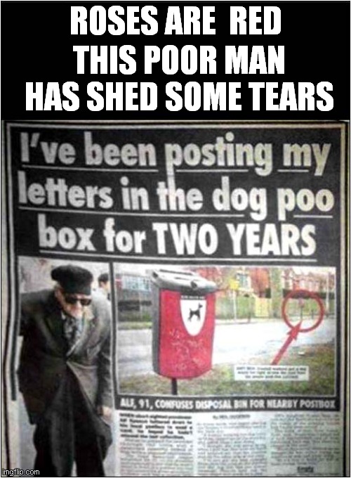 Roses Are Red On Dog Poo Bin ! | ROSES ARE  RED; THIS POOR MAN HAS SHED SOME TEARS | image tagged in roses are red,old man,letters,dog poop | made w/ Imgflip meme maker