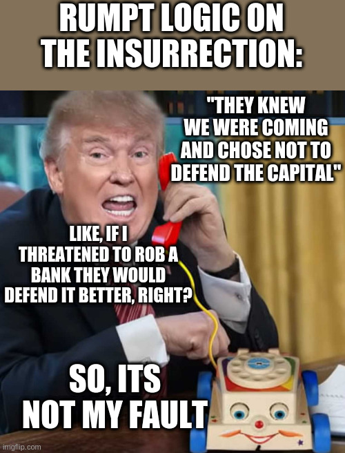 I'm the president | RUMPT LOGIC ON THE INSURRECTION:; "THEY KNEW WE WERE COMING AND CHOSE NOT TO DEFEND THE CAPITAL"; LIKE, IF I THREATENED TO ROB A BANK THEY WOULD DEFEND IT BETTER, RIGHT? SO, ITS NOT MY FAULT | image tagged in i'm the president | made w/ Imgflip meme maker