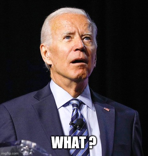 Joe Biden | WHAT ? | image tagged in joe biden | made w/ Imgflip meme maker