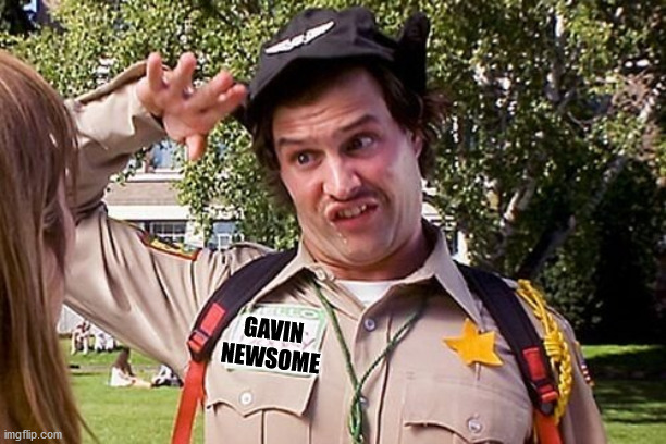 Special Officer Doofy | GAVIN
NEWSOME | image tagged in special officer doofy | made w/ Imgflip meme maker