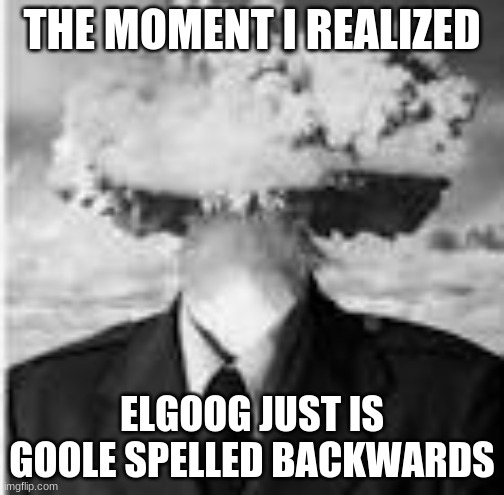 THE MOMENT I REALIZED; ELGOOG JUST IS GOOLE SPELLED BACKWARDS | image tagged in fun | made w/ Imgflip meme maker