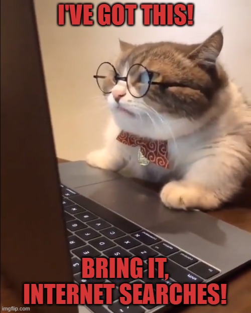 research cat | I'VE GOT THIS! BRING IT, INTERNET SEARCHES! | image tagged in research cat | made w/ Imgflip meme maker