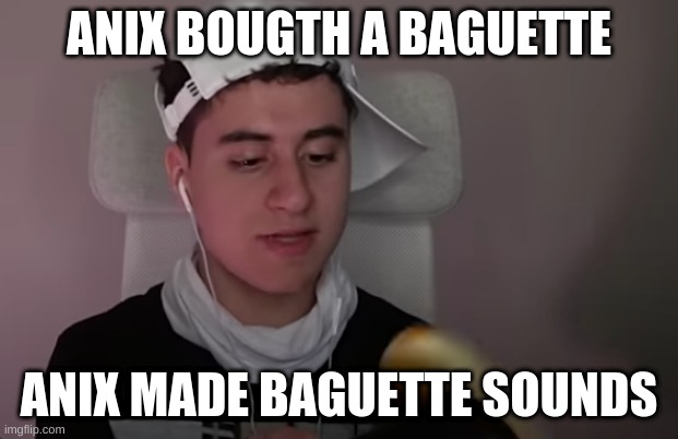 BAGUETTE BAGUETTE BAGUETTE BAGUETTE | ANIX BOUGTH A BAGUETTE; ANIX MADE BAGUETTE SOUNDS | image tagged in funny memes | made w/ Imgflip meme maker