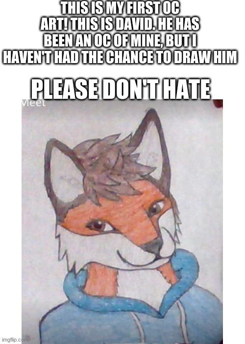 I really don't want hate comments, this took me hours | THIS IS MY FIRST OC ART! THIS IS DAVID. HE HAS BEEN AN OC OF MINE, BUT I HAVEN'T HAD THE CHANCE TO DRAW HIM; PLEASE DON'T HATE | image tagged in memes,blank transparent square,furry art,oc | made w/ Imgflip meme maker