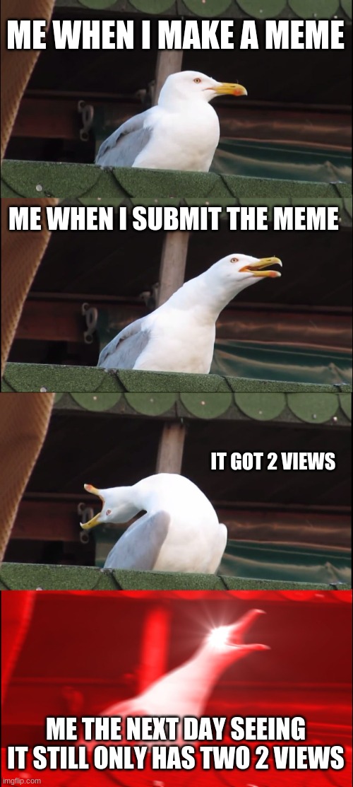 (Note from mod: sucks to suck, doesn't it?) | ME WHEN I MAKE A MEME; ME WHEN I SUBMIT THE MEME; IT GOT 2 VIEWS; ME THE NEXT DAY SEEING IT STILL ONLY HAS TWO 2 VIEWS | image tagged in memes,inhaling seagull | made w/ Imgflip meme maker