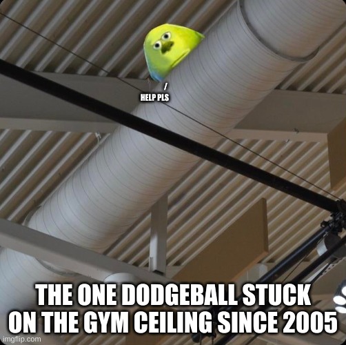 I'm outta ideas | /
HELP PLS; THE ONE DODGEBALL STUCK ON THE GYM CEILING SINCE 2005 | image tagged in dodgeball | made w/ Imgflip meme maker