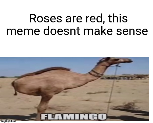 FLAMINGO | Roses are red, this meme doesnt make sense | image tagged in funny,memes,roses are red,roses are red violets are are blue | made w/ Imgflip meme maker