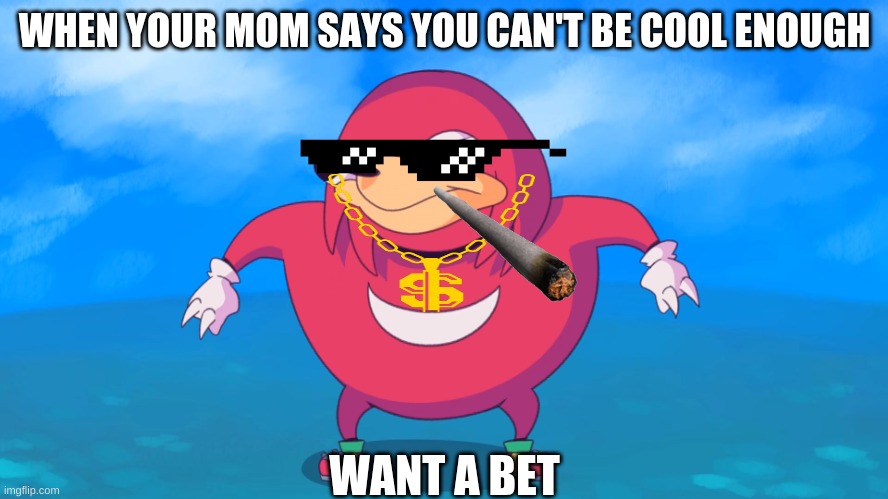 Uganda Knuckles | WHEN YOUR MOM SAYS YOU CAN'T BE COOL ENOUGH; WANT A BET | image tagged in uganda knuckles | made w/ Imgflip meme maker