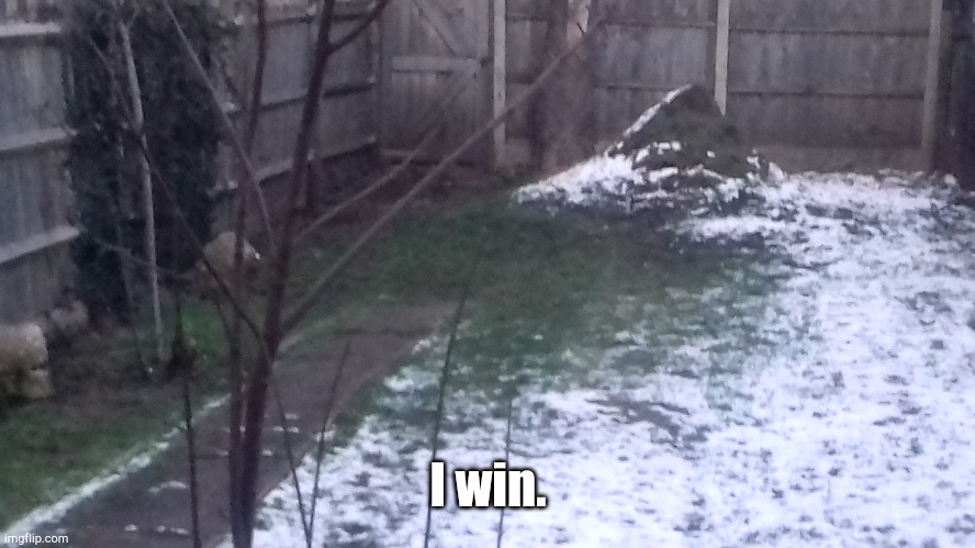 That feeling you get when the snow melts over that lawn you mowed last week to reveal that lawn you mowed last week... | I win. | image tagged in snow,melting,grass,i win,win,mow | made w/ Imgflip meme maker