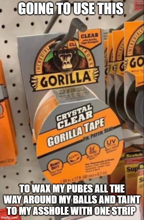 GOING TO USE THIS; TO WAX MY PUBES ALL THE WAY AROUND MY BALLS AND TAINT TO MY ASSHOLE WITH ONE STRIP | image tagged in gorilla | made w/ Imgflip meme maker