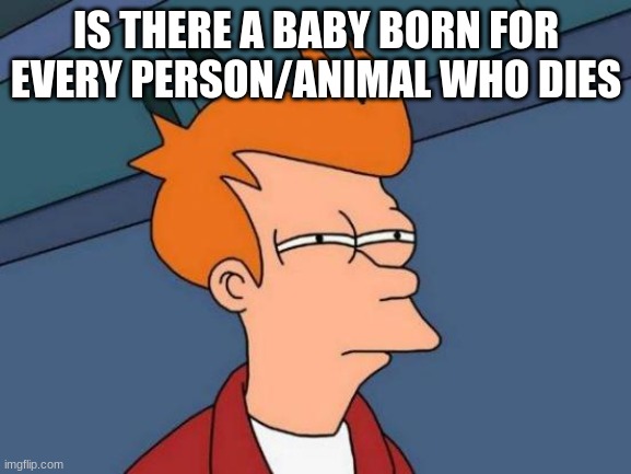 im really questioning it. | IS THERE A BABY BORN FOR EVERY PERSON/ANIMAL WHO DIES | image tagged in memes,futurama fry | made w/ Imgflip meme maker