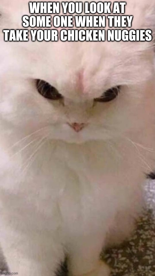 angry cat |  WHEN YOU LOOK AT SOME ONE WHEN THEY TAKE YOUR CHICKEN NUGGIES | image tagged in angry cat | made w/ Imgflip meme maker