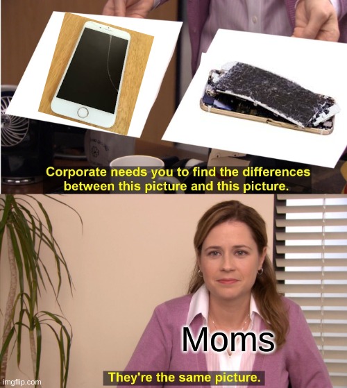 what the differences are to moms | Moms | image tagged in memes,they're the same picture | made w/ Imgflip meme maker