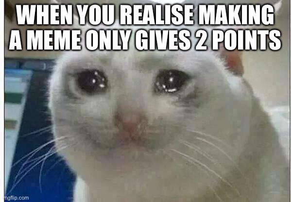 crying cat | WHEN YOU REALISE MAKING A MEME ONLY GIVES 2 POINTS | image tagged in crying cat | made w/ Imgflip meme maker