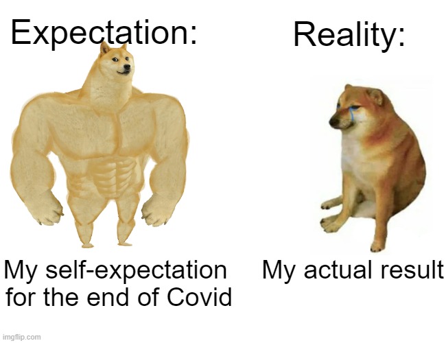 DOGO MEME | Expectation:; Reality:; My self-expectation 
for the end of Covid; My actual result | image tagged in memes,buff doge vs cheems,funny | made w/ Imgflip meme maker