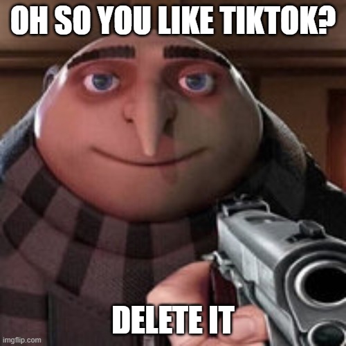 TikTok sucks | OH SO YOU LIKE TIKTOK? DELETE IT | image tagged in oh so you like x name every y | made w/ Imgflip meme maker