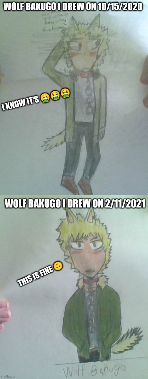 Drawing Improvment | WOLF BAKUGO I DREW ON 10/15/2020; I KNOW IT'S 🤮🤮🤮; WOLF BAKUGO I DREW ON 2/11/2021; THIS IS FINE 🙃 | image tagged in wolf,bakugo,drawing,reeeeeeeeeeeeeeeeeeeeee | made w/ Imgflip meme maker