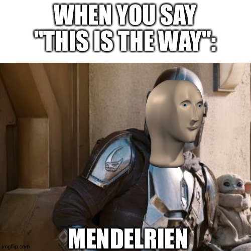 I regret this | WHEN YOU SAY "THIS IS THE WAY":; MENDELRIEN | image tagged in meme man,mandalorian,star wars,w h y,why did i make this | made w/ Imgflip meme maker