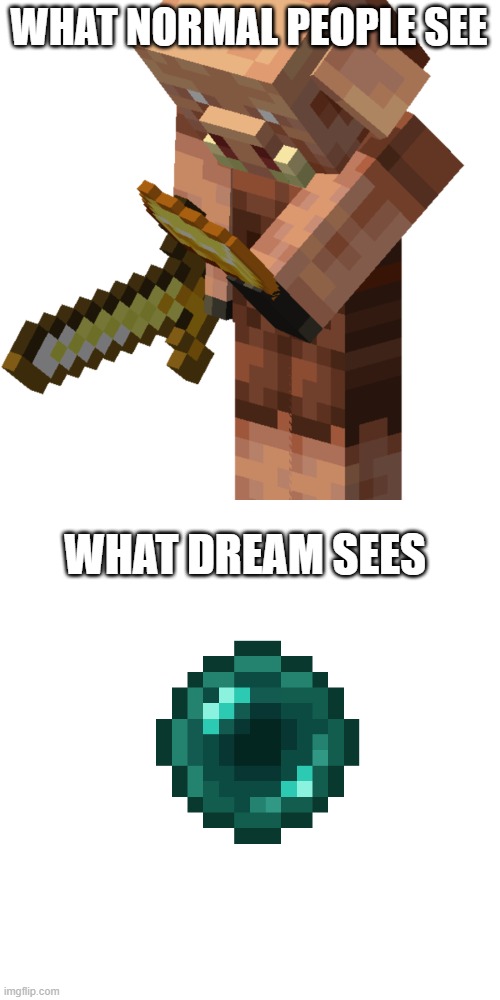 piglin = ender pearl | WHAT NORMAL PEOPLE SEE; WHAT DREAM SEES | image tagged in piglin,ender pearl,dream | made w/ Imgflip meme maker