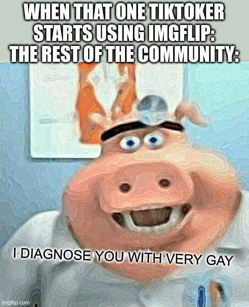 I diagnose you with gay |  WHEN THAT ONE TIKTOKER STARTS USING IMGFLIP:
THE REST OF THE COMMUNITY:; I DIAGNOSE YOU WITH VERY GAY | image tagged in i diagnose you with gay | made w/ Imgflip meme maker
