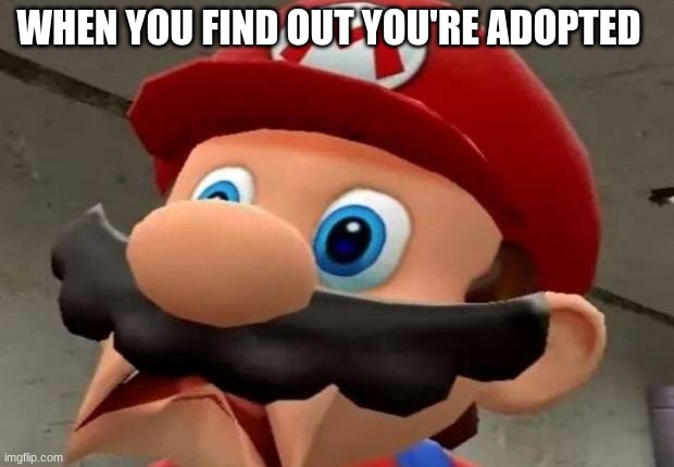 sadness | WHEN YOU FIND OUT YOU'RE ADOPTED | image tagged in mario wtf | made w/ Imgflip meme maker