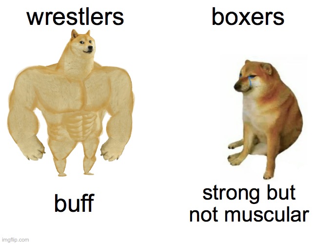 Buff Doge vs. Cheems | wrestlers; boxers; buff; strong but not muscular | image tagged in memes,buff doge vs cheems | made w/ Imgflip meme maker