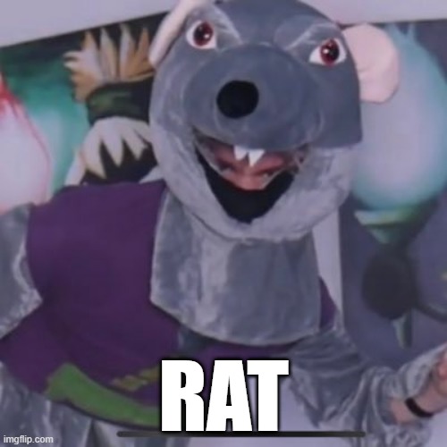  RAT | made w/ Imgflip meme maker