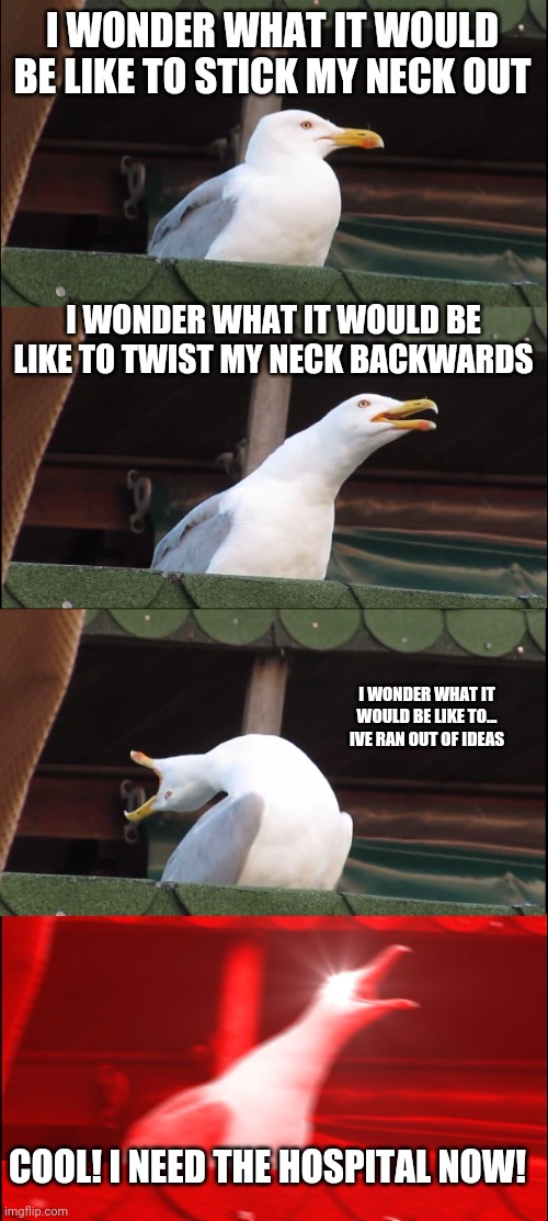 Inhaling Seagull | I WONDER WHAT IT WOULD BE LIKE TO STICK MY NECK OUT; I WONDER WHAT IT WOULD BE LIKE TO TWIST MY NECK BACKWARDS; I WONDER WHAT IT WOULD BE LIKE TO... IVE RAN OUT OF IDEAS; COOL! I NEED THE HOSPITAL NOW! | image tagged in memes,inhaling seagull | made w/ Imgflip meme maker