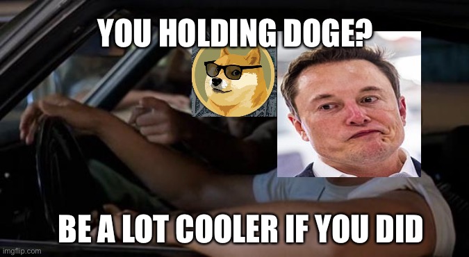 Doge fan | YOU HOLDING DOGE? BE A LOT COOLER IF YOU DID | image tagged in it'd be a lot cooler if you did | made w/ Imgflip meme maker