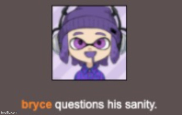 bryce questions his sanity | image tagged in bryce questions his sanity | made w/ Imgflip meme maker