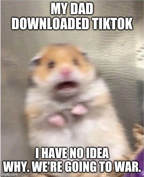 this is not okie-dokie, i don't support his desicion | MY DAD DOWNLOADED TIKTOK; I HAVE NO IDEA WHY. WE'RE GOING TO WAR. | image tagged in scared hamster | made w/ Imgflip meme maker