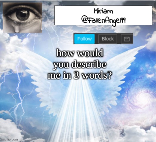 FallenAngel99's Template | how would you describe me in 3 words? | image tagged in fallenangel99's template | made w/ Imgflip meme maker