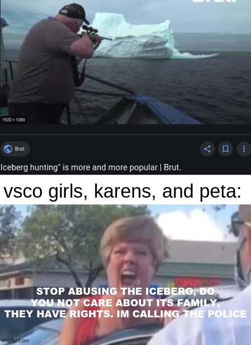 karen icebergs | vsco girls, karens, and peta:; STOP ABUSING THE ICEBERG, DO YOU NOT CARE ABOUT ITS FAMILY, THEY HAVE RIGHTS. IM CALLING THE POLICE | image tagged in karens,iceberg,peta,vsco,meme | made w/ Imgflip meme maker