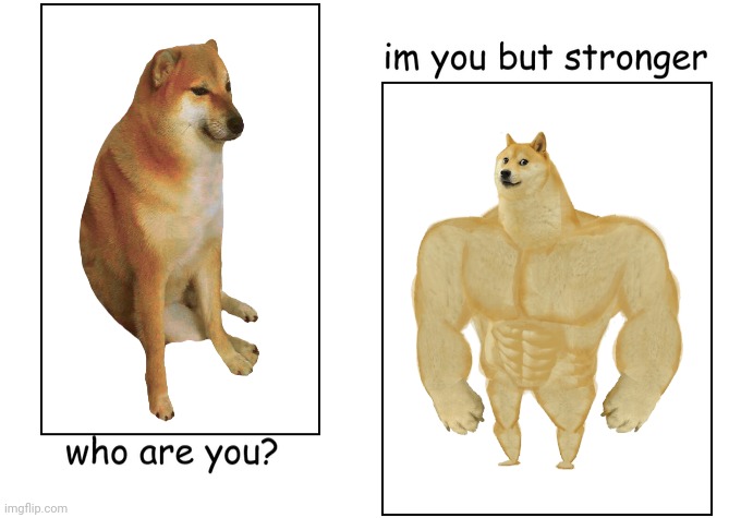 Who are you, but with Buff Doge 'n' Cheems Blank Meme Template