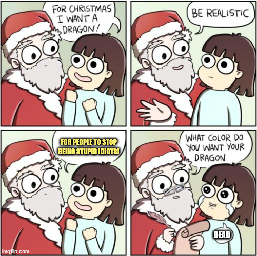 For Christmas I Want a Dragon | FOR PEOPLE TO STOP BEING STUPID IDIOTS! DEAD | image tagged in for christmas i want a dragon | made w/ Imgflip meme maker
