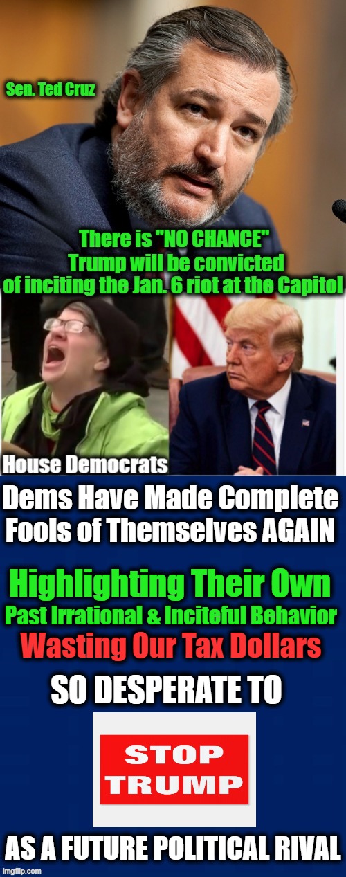 Terminal TDS!!! Living Rent Free in Dems' Heads... | Dems Have Made Complete 
Fools of Themselves AGAIN; Past Irrational & Inciteful Behavior; Highlighting Their Own; Wasting Our Tax Dollars; SO DESPERATE TO; AS A FUTURE POLITICAL RIVAL | image tagged in politics,democratic socialism,insanity,liberals,trump | made w/ Imgflip meme maker
