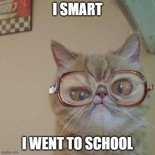Funny Cat with Glasses | I SMART; I WENT TO SCHOOL | image tagged in funny cat with glasses | made w/ Imgflip meme maker