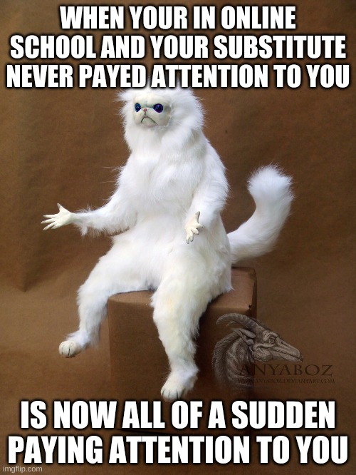Persian Cat Room Guardian Single | WHEN YOUR IN ONLINE SCHOOL AND YOUR SUBSTITUTE NEVER PAYED ATTENTION TO YOU; IS NOW ALL OF A SUDDEN PAYING ATTENTION TO YOU | image tagged in memes,persian cat room guardian single | made w/ Imgflip meme maker