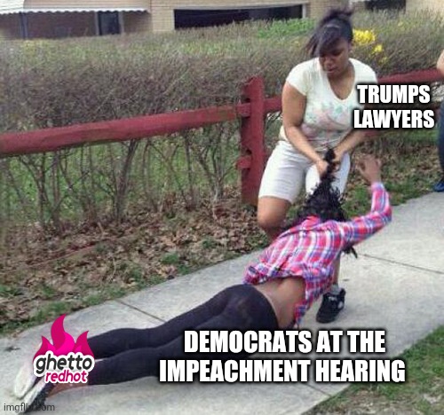 Girl fight | TRUMPS LAWYERS; DEMOCRATS AT THE IMPEACHMENT HEARING | image tagged in girl fight,fight,trump,democrats,lawyers,impeachment | made w/ Imgflip meme maker