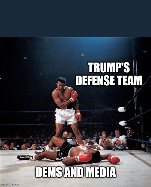 Ali Knockout | TRUMP'S DEFENSE TEAM; DEMS AND MEDIA | image tagged in ali knockout,trump,democrats,legal defense | made w/ Imgflip meme maker