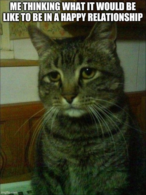 Depressed Cat Meme | ME THINKING WHAT IT WOULD BE LIKE TO BE IN A HAPPY RELATIONSHIP | image tagged in memes,depressed cat | made w/ Imgflip meme maker