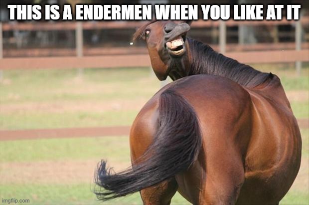 funny horse | THIS IS A ENDERMEN WHEN YOU LIKE AT IT | image tagged in funny horse | made w/ Imgflip meme maker