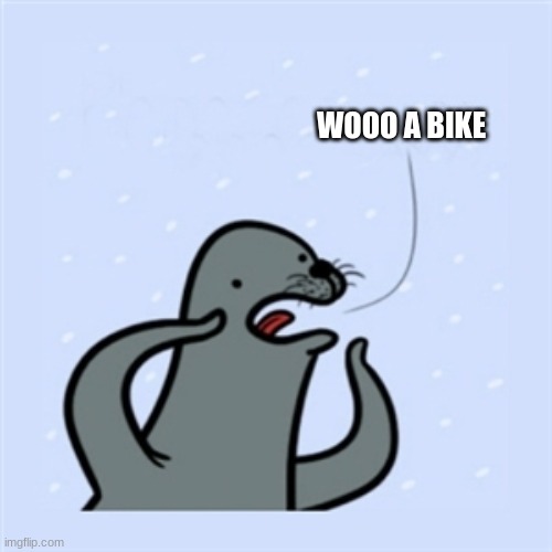 gay seal | WOOO A BIKE | image tagged in gay seal | made w/ Imgflip meme maker