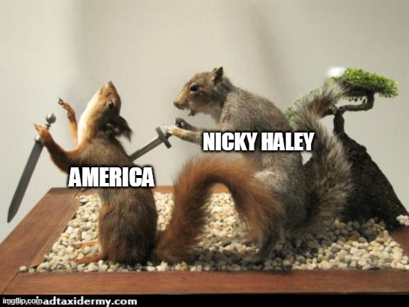 taxidermy squirrel backstab | NICKY HALEY; AMERICA | image tagged in taxidermy squirrel backstab | made w/ Imgflip meme maker