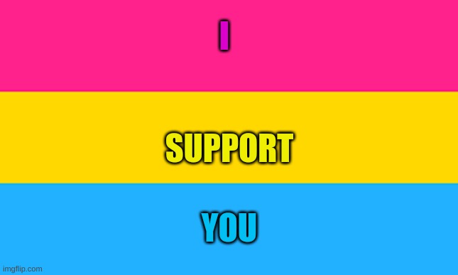 I support you guys ran out of space | I; SUPPORT; YOU | image tagged in pan flag | made w/ Imgflip meme maker