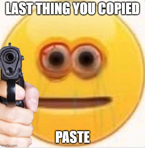 VIBE | LAST THING YOU COPIED; PASTE | image tagged in vibe | made w/ Imgflip meme maker